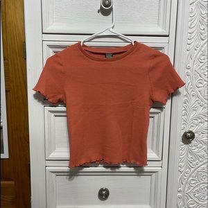 Wild fable rust crop top, XS